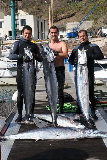 Mergulho 033.JPG